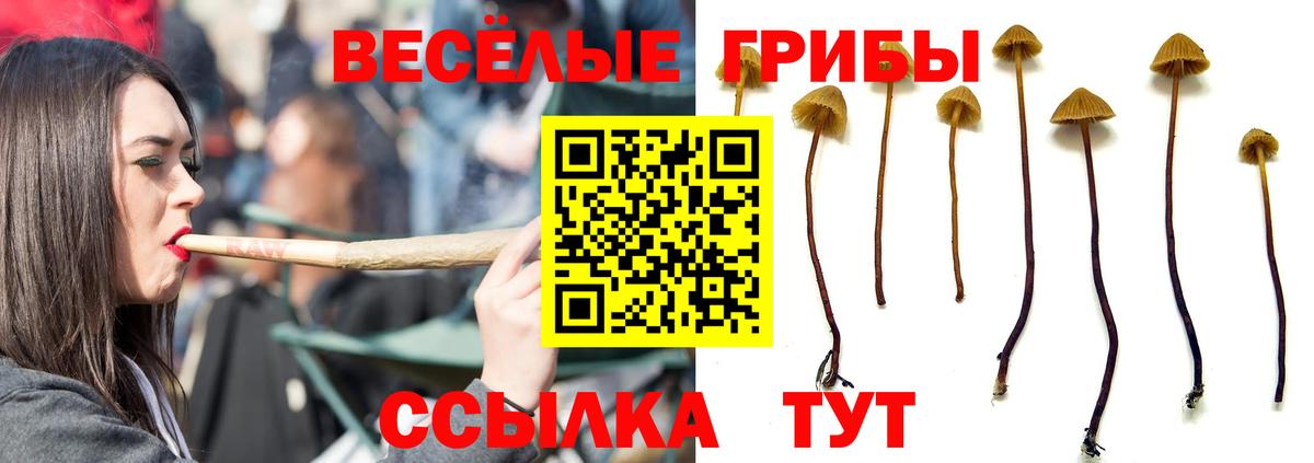 Псилоцибиновые грибы Magic Shrooms Губаха